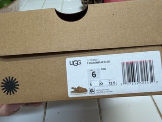 Golden star uggs