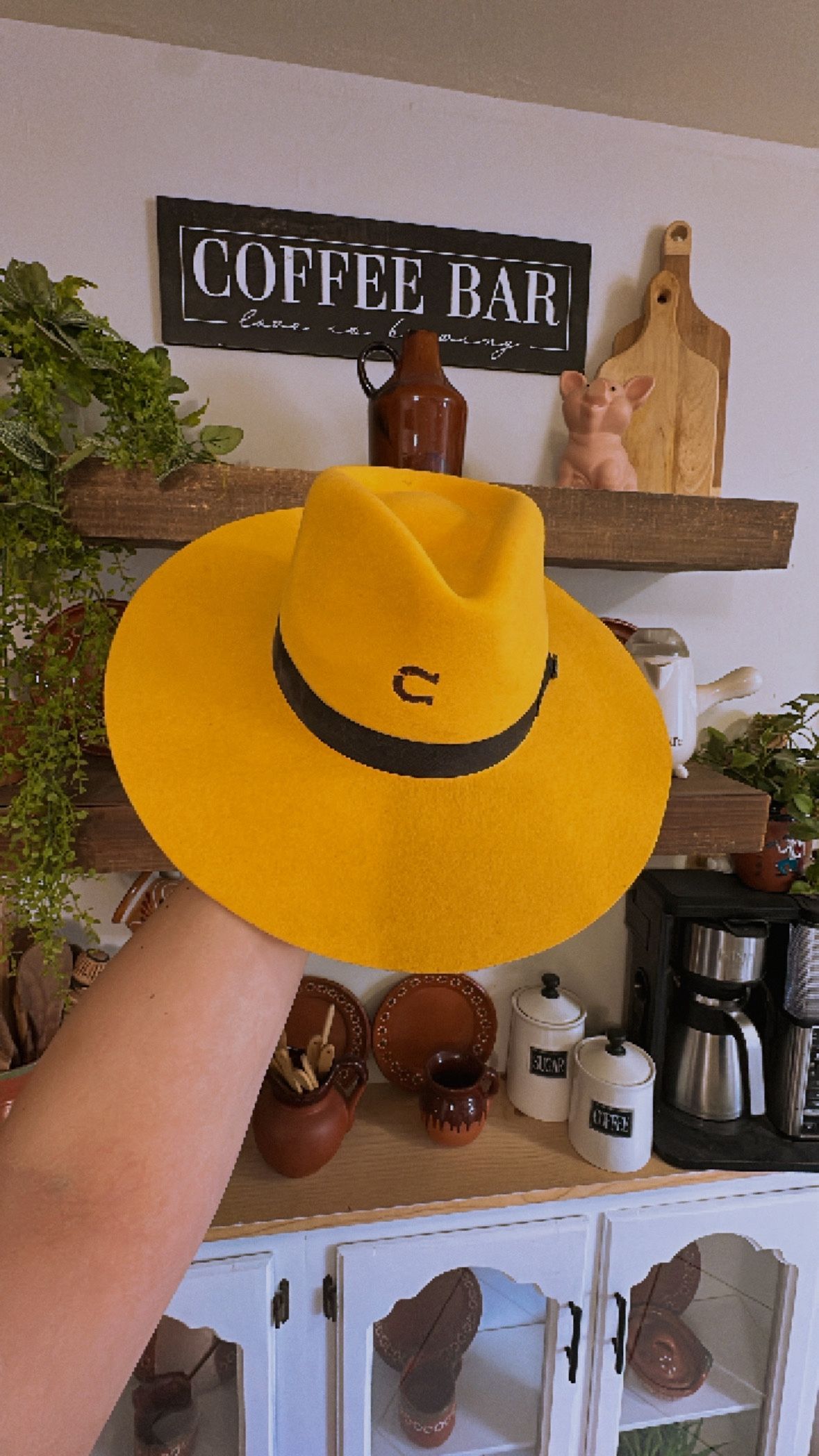Charlie 1 Horse Hat