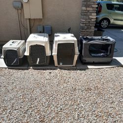 Medium Or Large Pet Dog Carrier Kennels $30-$45 Each 4 Different Available See All Photos 