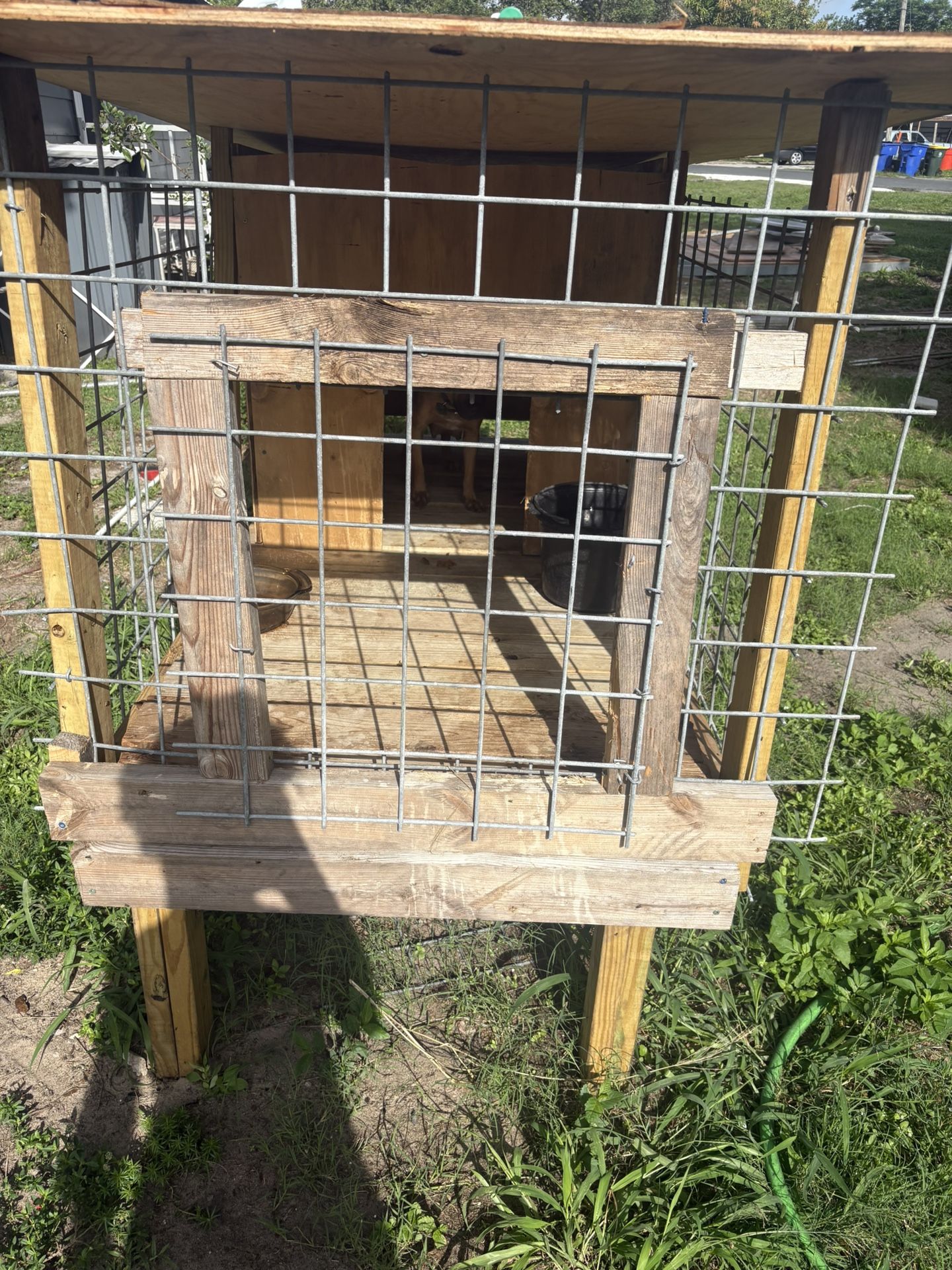 Cage