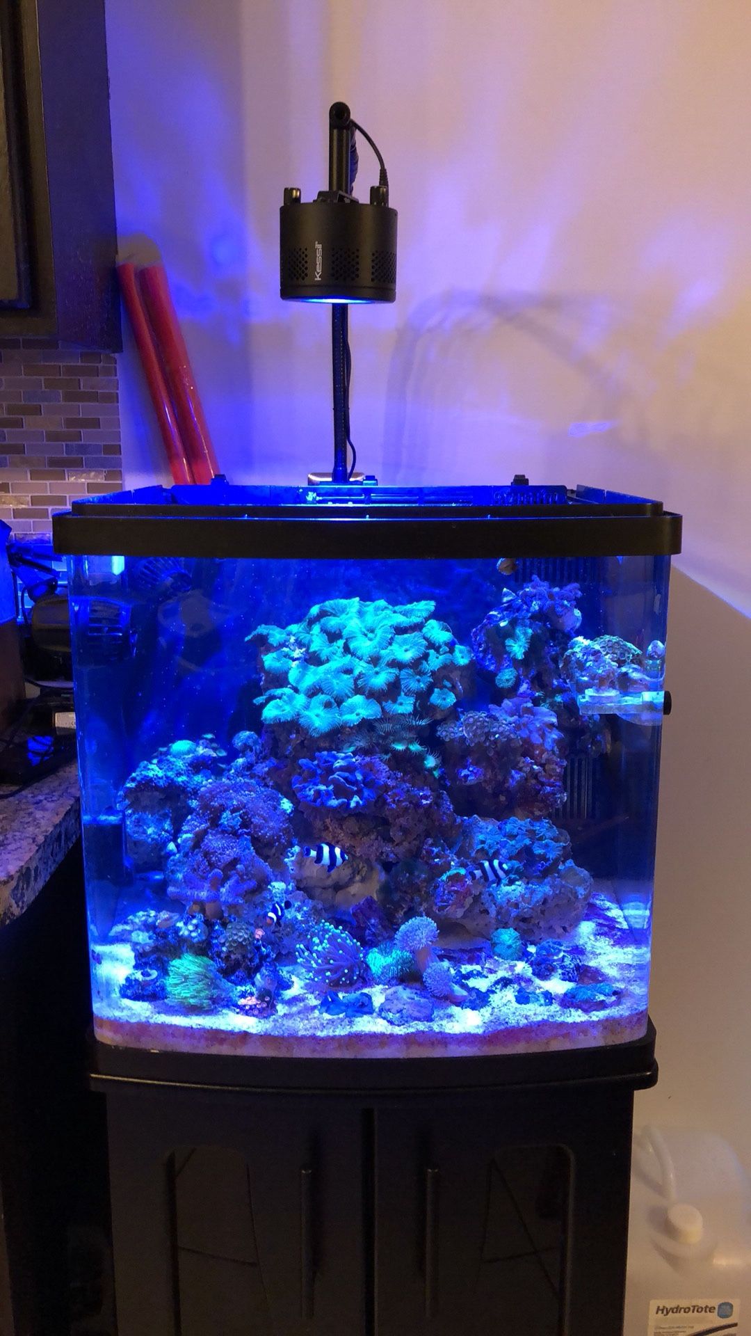 Coralife Biocube 32 LED w/stand & InTank Media and Refugium Baskets (No Livestock Included)