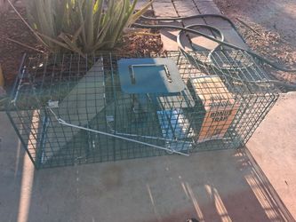 Animal traps, big and small