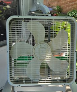 Box fan