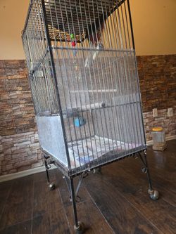 Parrot Cage