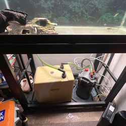 Axolotl Plushie Fish Tank & Accessories 