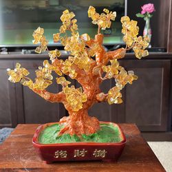 Chinese Good Luck Tree