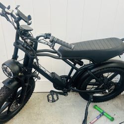 $1000 E-bike 