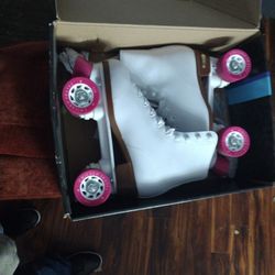 Chicago Skates