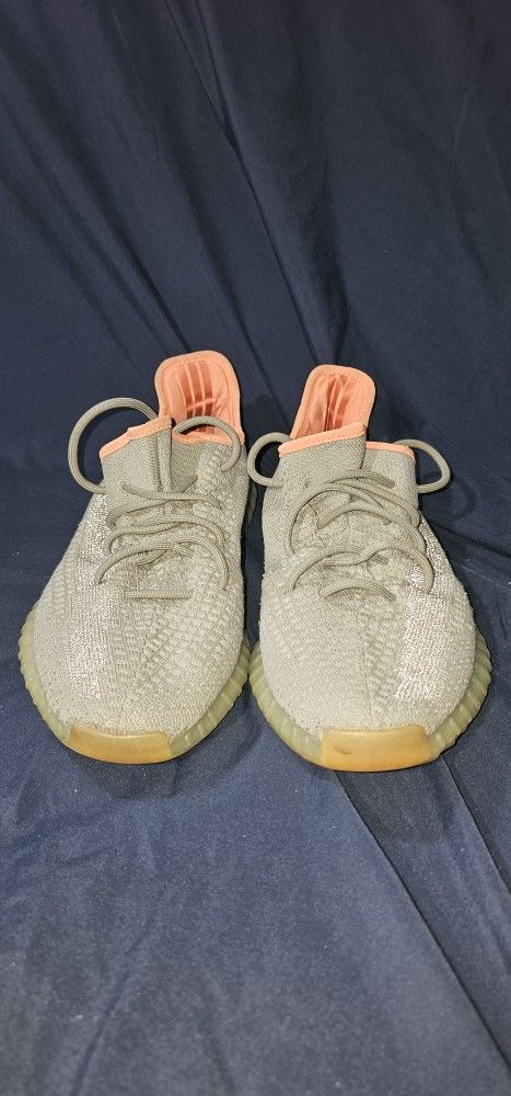 Ye Shoes 