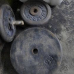 Weights   * Cast Iron*Weight Plates 