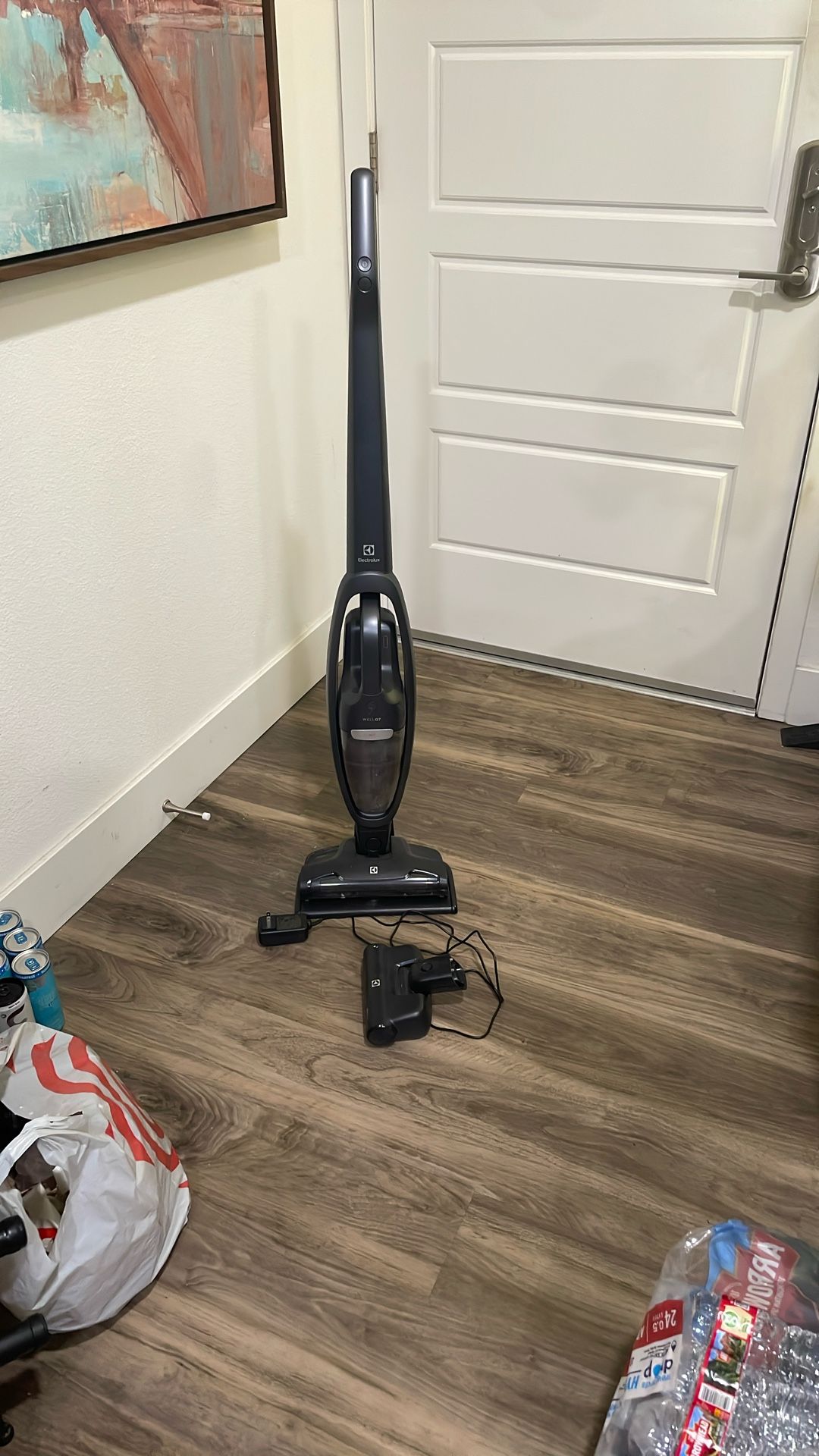 Electrolux WellQ7 Cordless Vacuum Cleaner