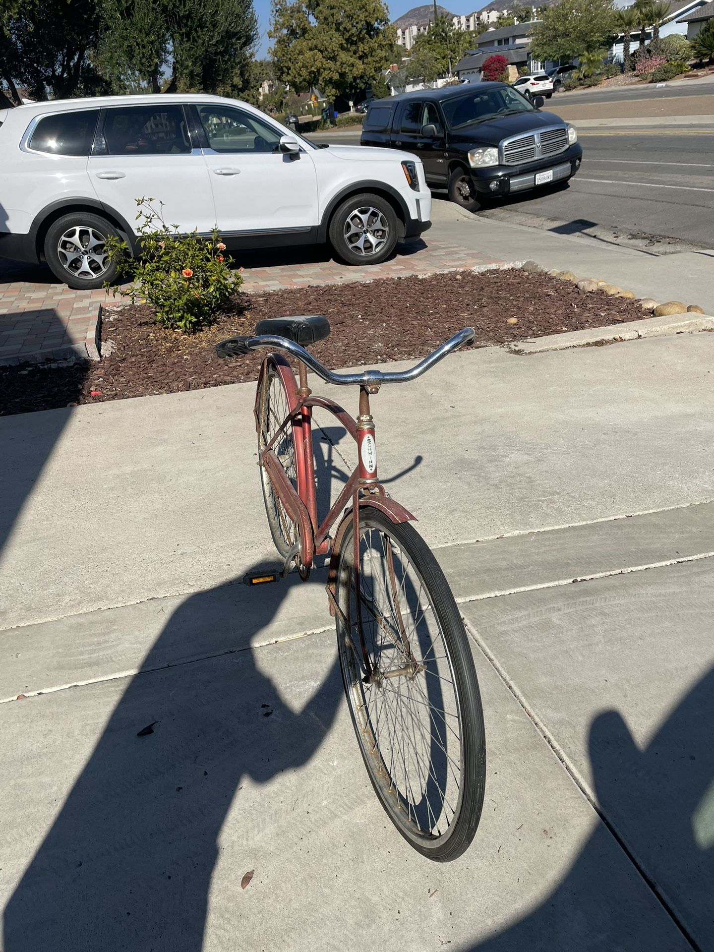 Vintage Schwinn beach cruiser