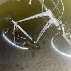 Cypress (White/ Blue) Giant 