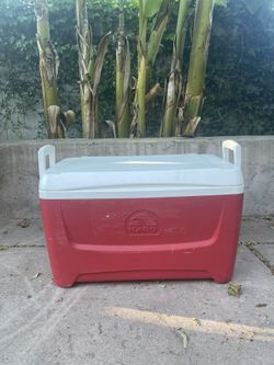 IGLOO Cooler