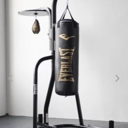 Everlast Punching Bag and Stand