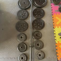 Weight Plates/ Bar          90 Dollars 