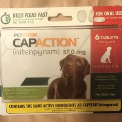 Tratamiento Para Eliminar Pulgas Al Instante  Para Perros De 25 Libras o Más