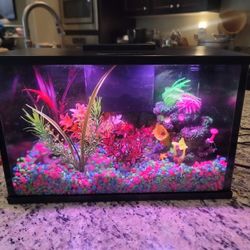 3 Gal Top Fin GloFish Tank