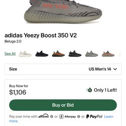 Yeezy Boost 350 Beluga V2 Size 14