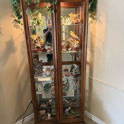 Beautiful Wood And Glass Display Shelf With Interior Light