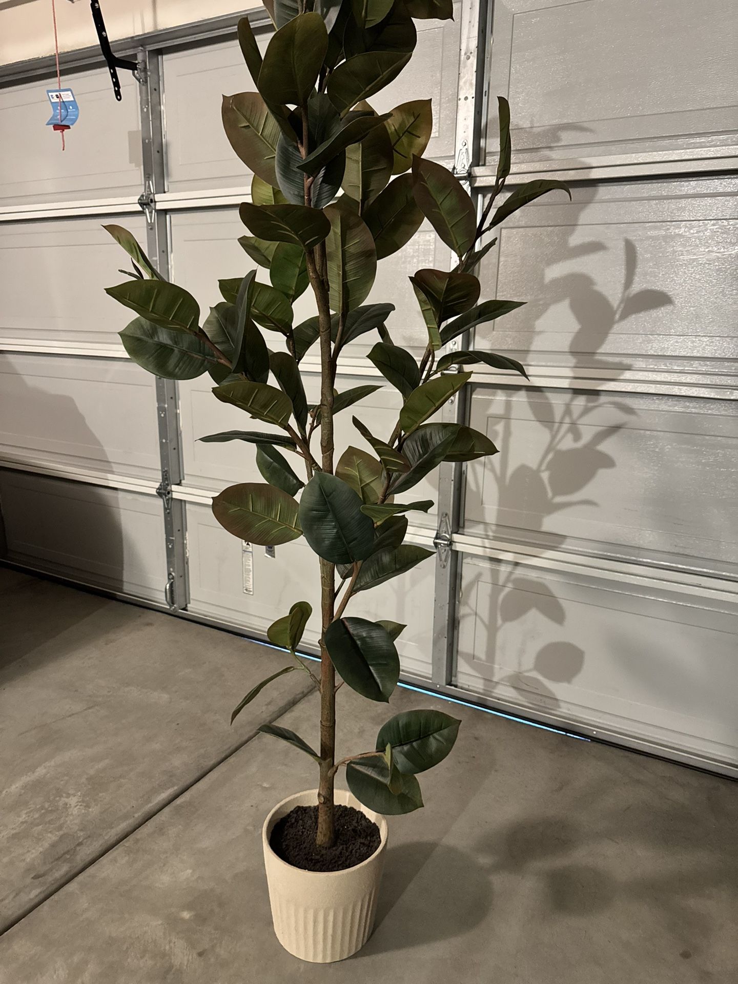 modern nice plant in good condition 