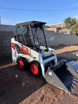 Bobcat