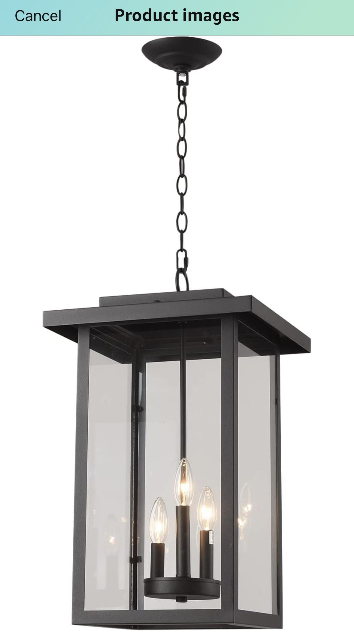 Outdoor pendant fixture