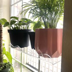 Acrylic Plant Shelf
