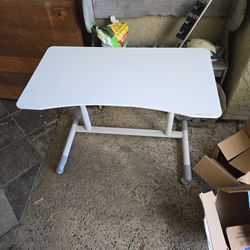 Adjustable/Standing Desk 
