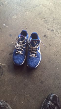Kobe 6s dodgers