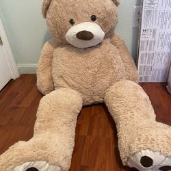 Big Teddy Bear