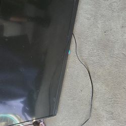 40" Insignia Flat Screen Tv