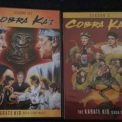 Cobra Kai Season 1 -3