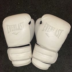 Everlast Boxing Gloves 
