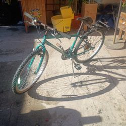 Retro Diamond Back Outlook 