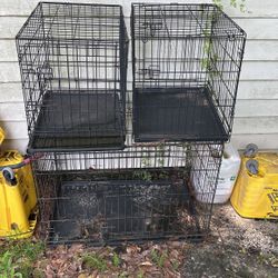 Dog Cage