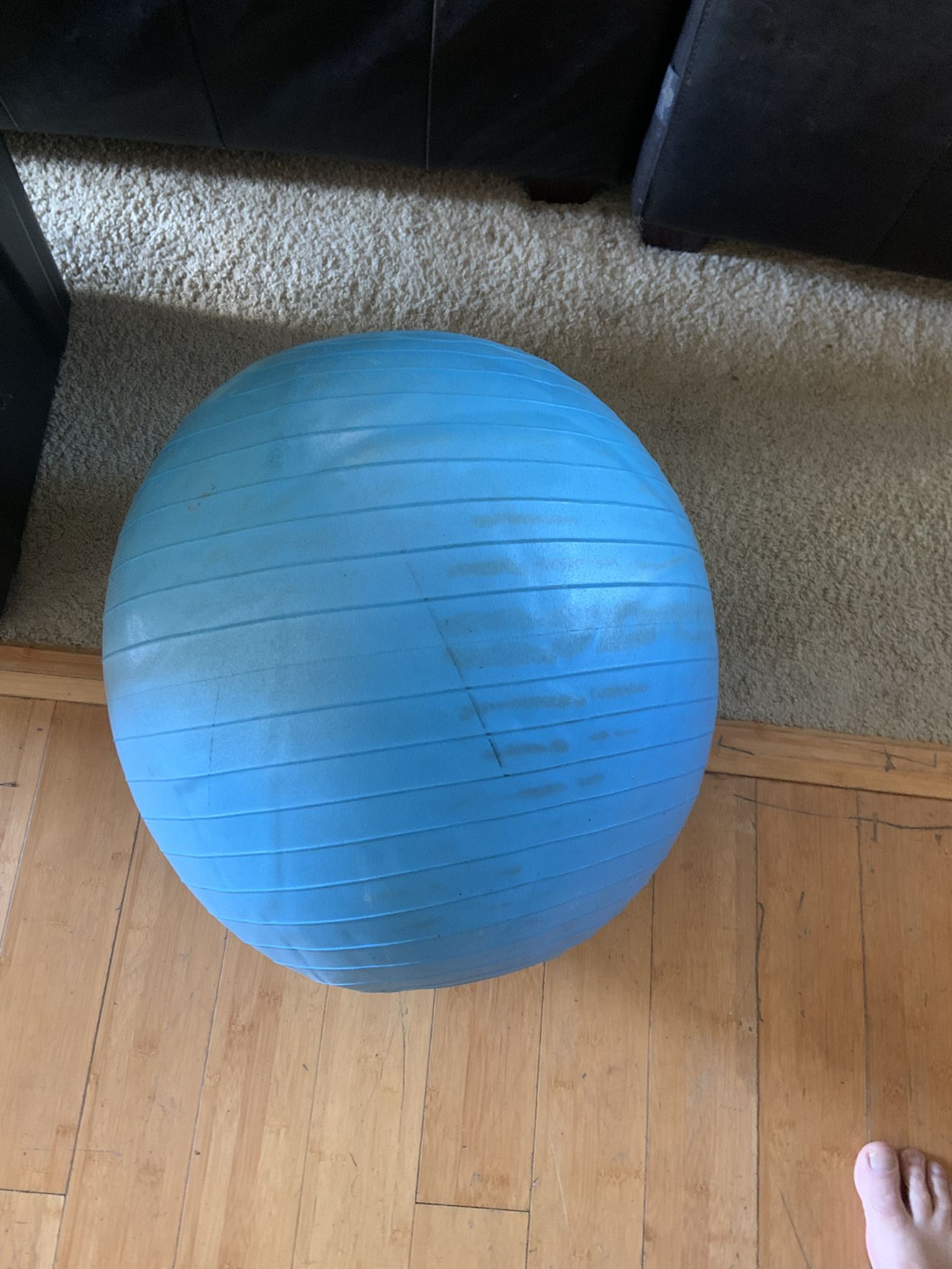 Exercise Ball