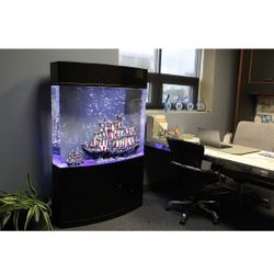 luxury fish tank with life rooks and fish food
