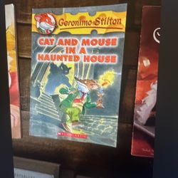 Cat And Mouse In Haunted House 