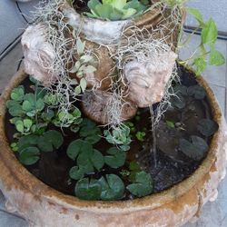 Fountain W/ Live Plants