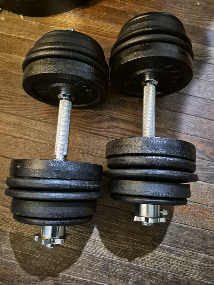 60lbs Dumbells Weights