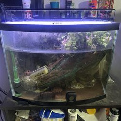 29 Gallon Paludarium Aquarium Fish Tank Terrarium