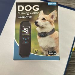 Training Collar
