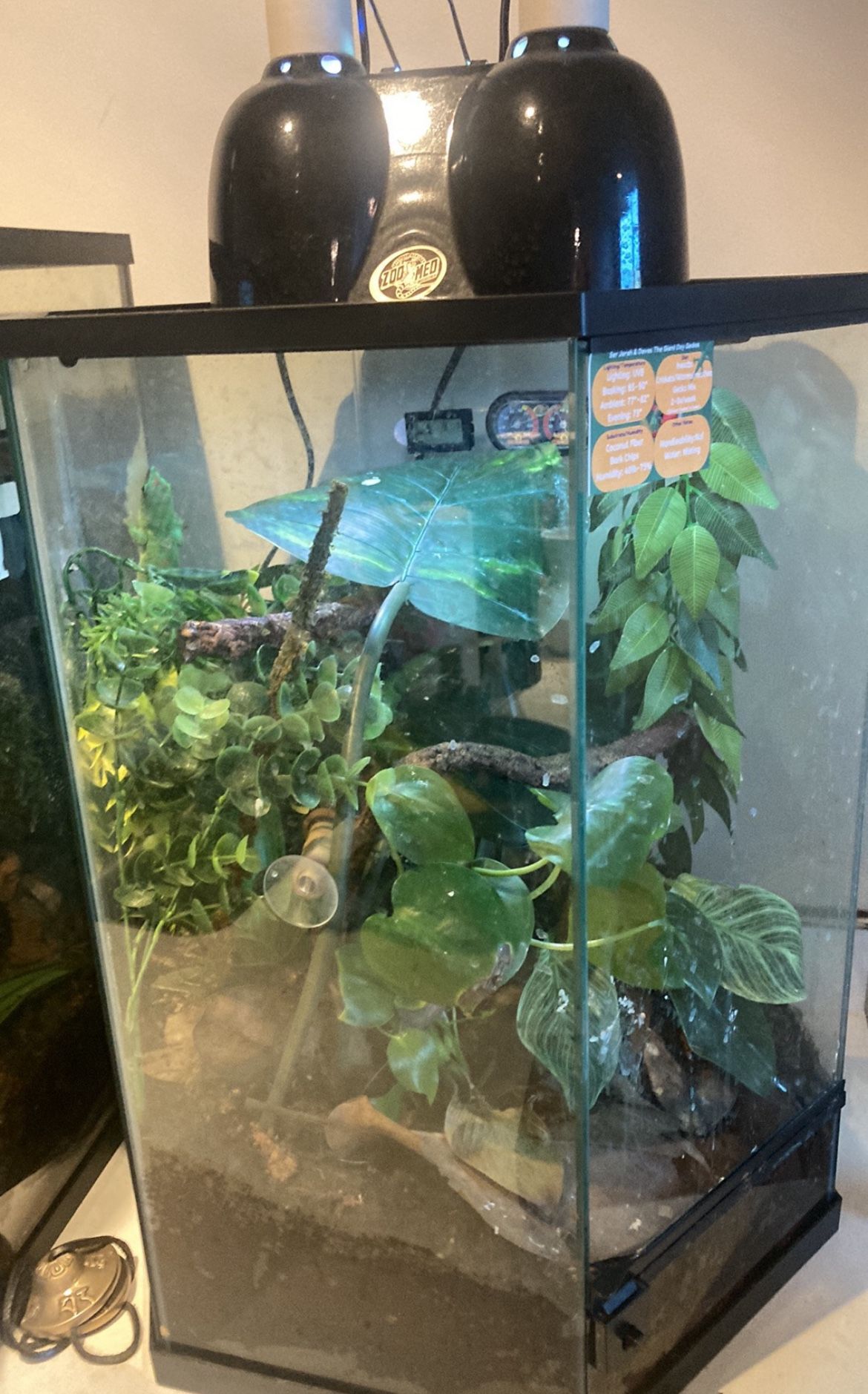 Reptile Tank/terrarium