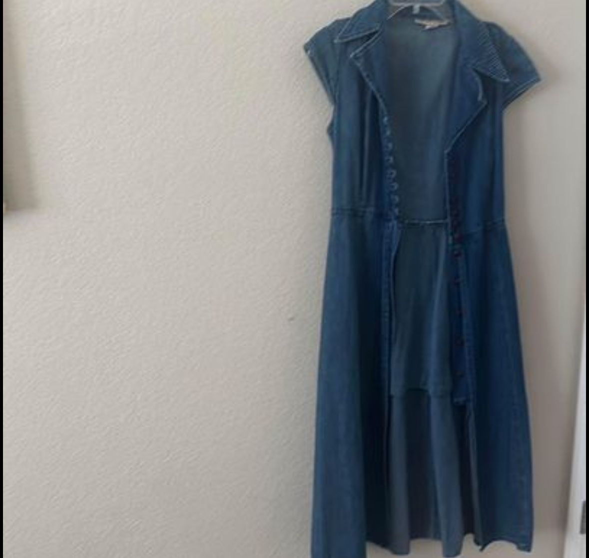 Vintage Denim Dress