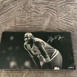 Michael Jordan Signed Canvas /50