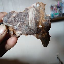 Petrified Wood