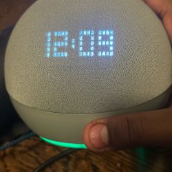 Speaker