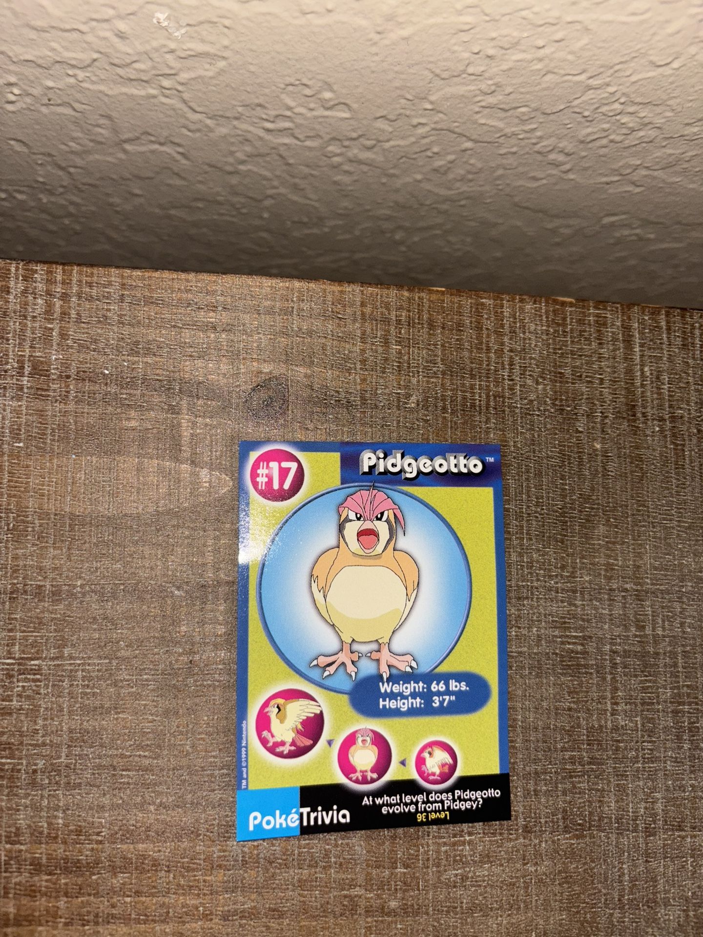 Pidgeotto 1999 Pokemon Burger King #17 PokeTrivia