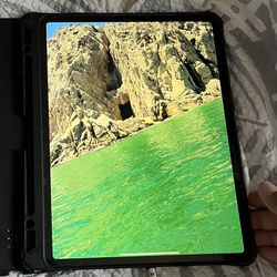 12.9 Inch iPad Pro 4th Gen